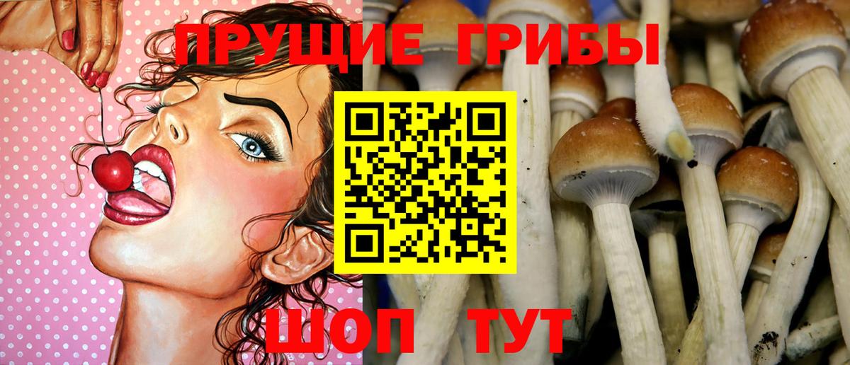 Галлюциногенные грибы ЛСД Краснознаменск