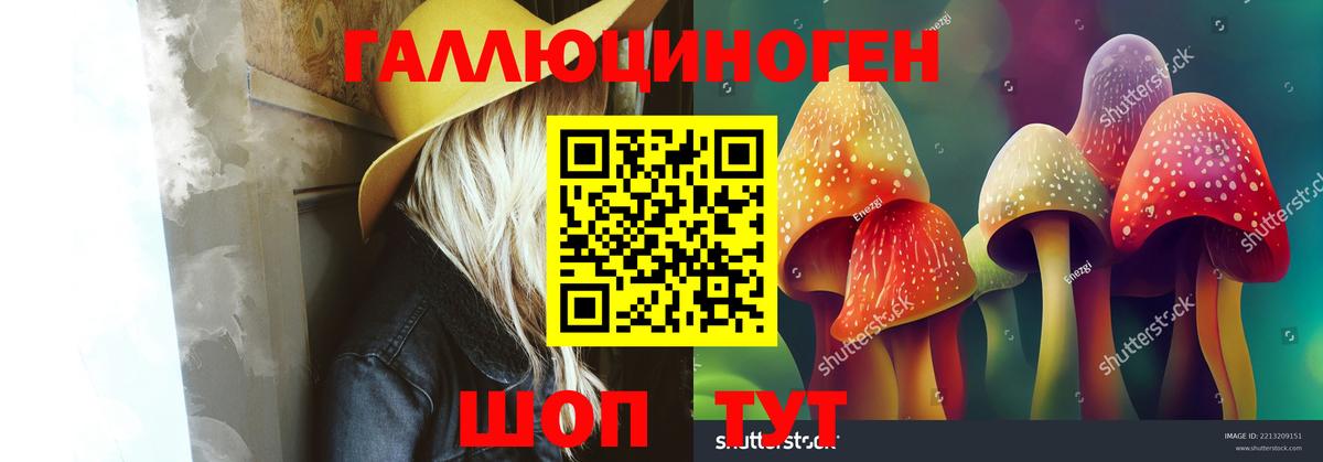 Краснознаменск  Галлюциногенные грибы Psilocybine cubensis  Вход с VPN 